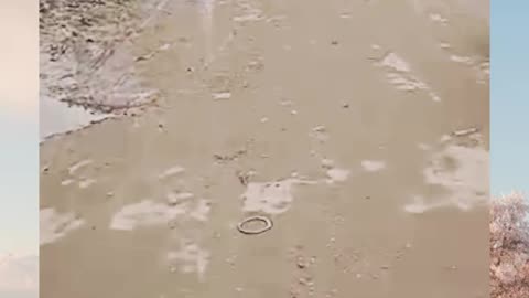 This is Pakistan Karachi baby