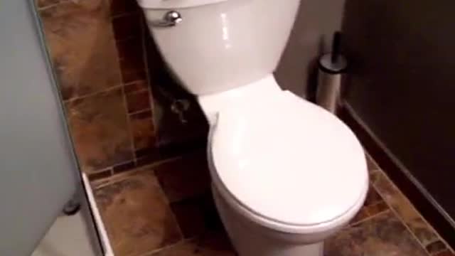 basement bathroom tour