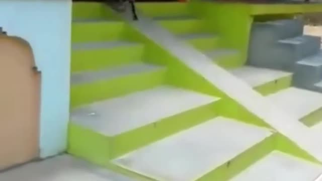 smart goat