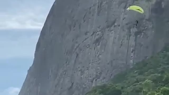 Sensational mini wing landing๐ฑ๐๐ผ๐๐ผ๐๐ผ