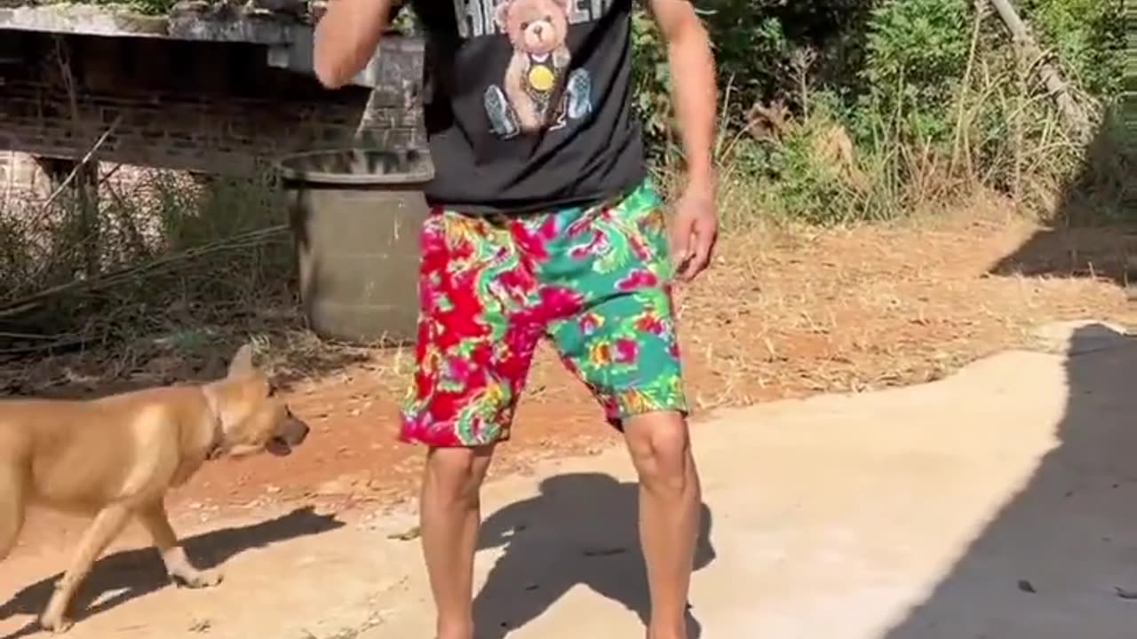 Very much fun reels funny moments 😂😜
