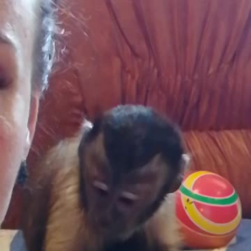 Как мы друг к другу привыкли