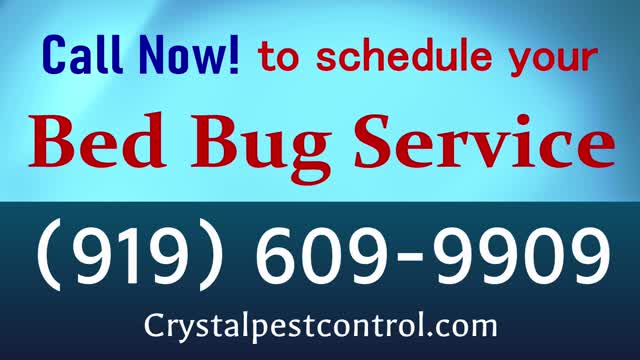 Got Bed Bugs? Crystal Pest Control NC