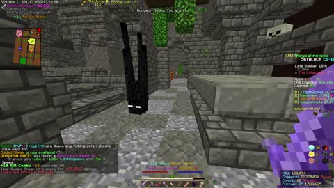 Skyblock FLOOR 7 [#144]