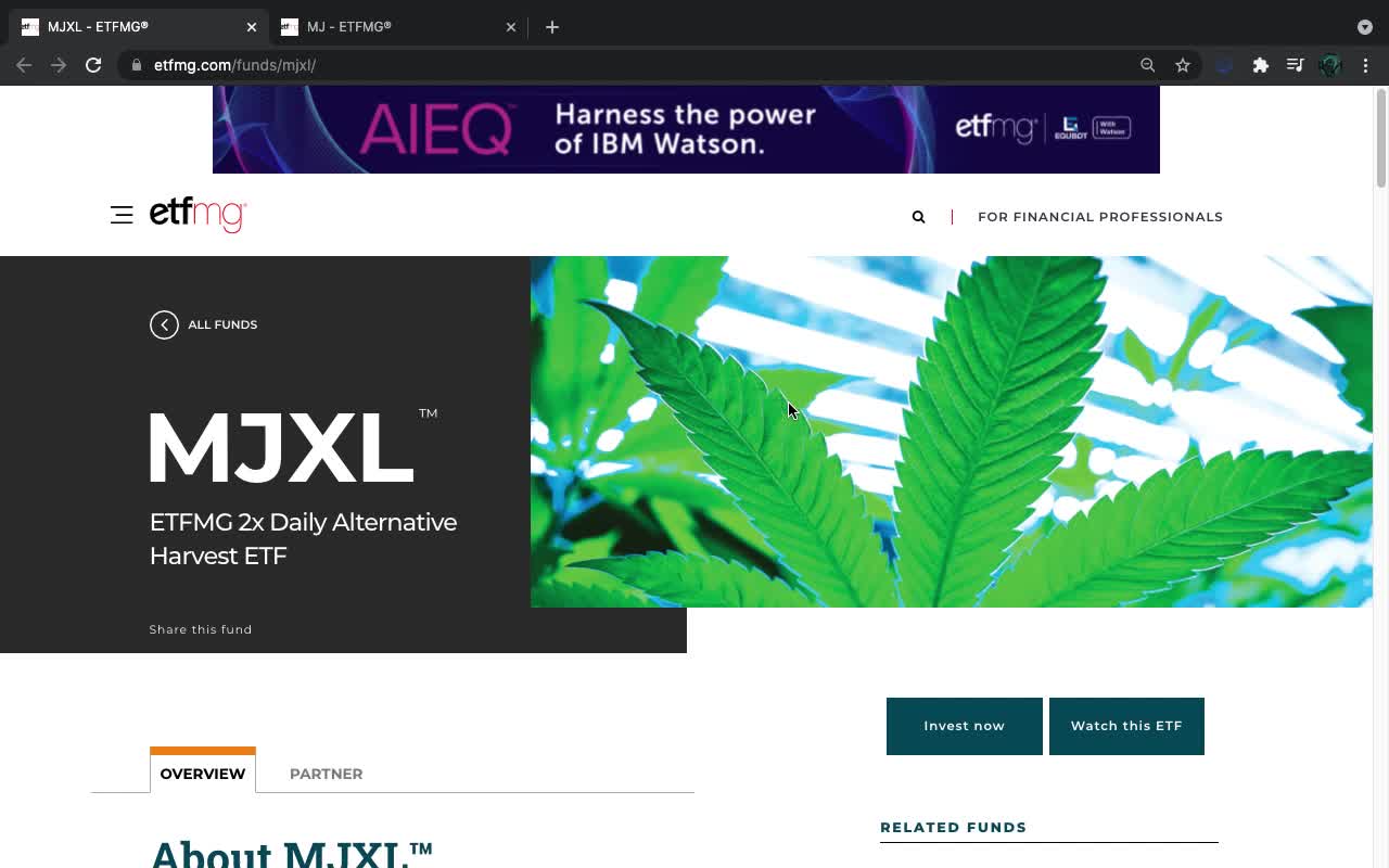 New ETF: MJXL (Global Cannabis)(07/7/2021)