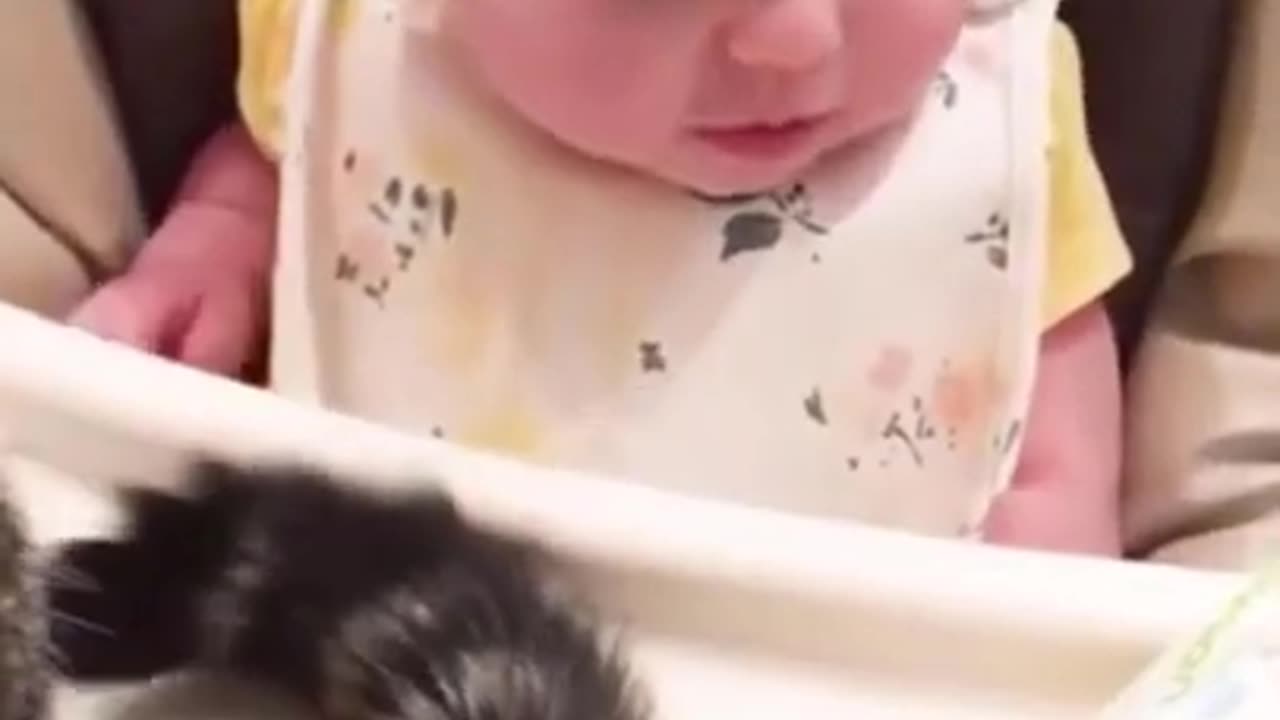 Cute Baby Videos - Funny Baby Compilation