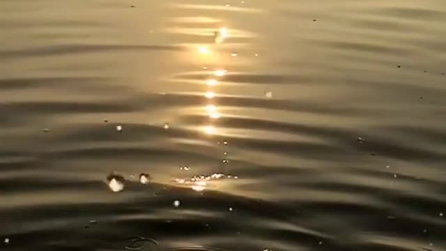 Lake at sunset