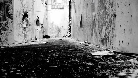 METALLICA - RIDE THE LIGHTING SOLERPLEXSTUDIOS INC .