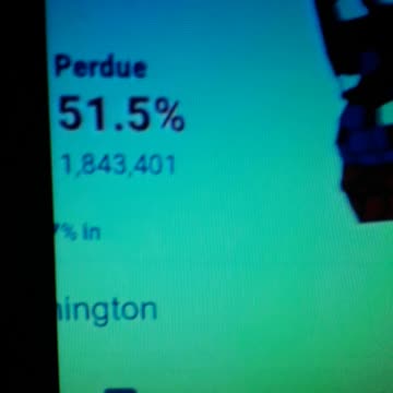 INTERNATIONAL WIDE ELECTION FRAUD VOTING MACHINE CRIME, GEORGIA RUNOFF SHAM ELECTION CRIME 65