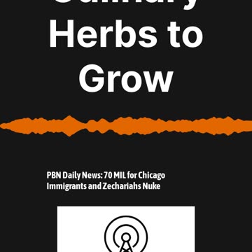 SHTF Chef: What Culinary Herbs to Grow