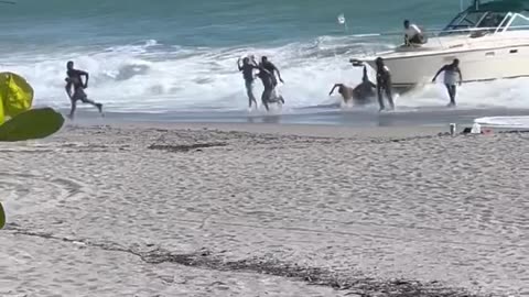 Video Shows Illegals Landing on Jupiter Beach, Florida.