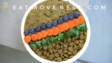What We Feed Our Dog - Homemade Vegan Dog Food Recipe