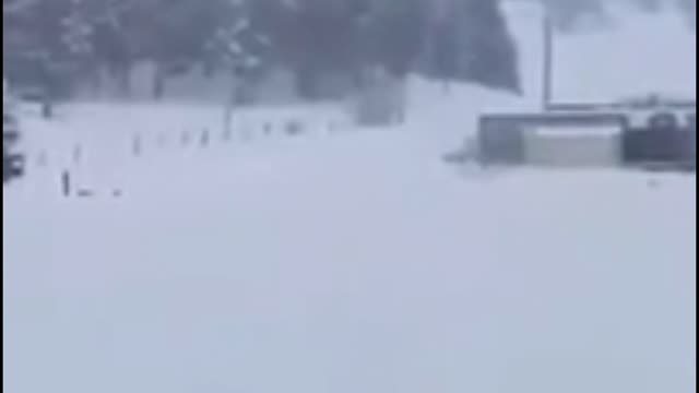 Mr FunnyCrazyVideo😂 Just Incredible Video Funny and Crazy #Like Follow for Follow 🥰