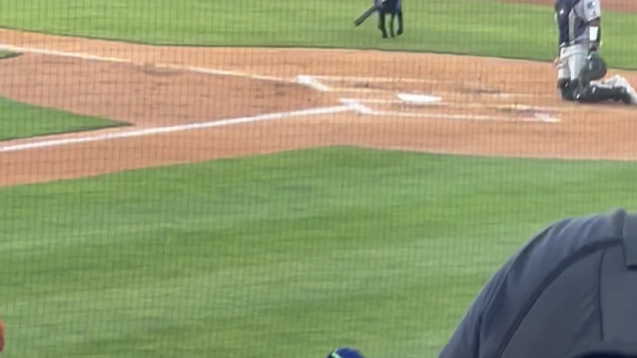 Dog Retrieves Bats At Baseball Game