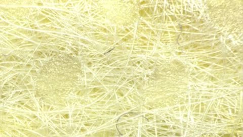 NEW MICROSCOPY PHOTOS OF COVID SWABS, COVID MASKS AND MYSTERIOUS RED AND BLUE FIBERS