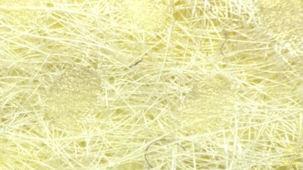 NEW MICROSCOPY PHOTOS OF COVID SWABS, COVID MASKS AND MYSTERIOUS RED AND BLUE FIBERS