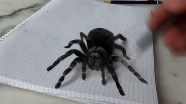 Creative 3D drawing