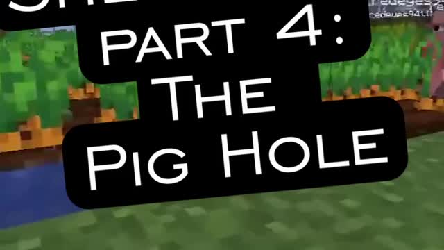 Extra Shenanigans: The Pig Hole