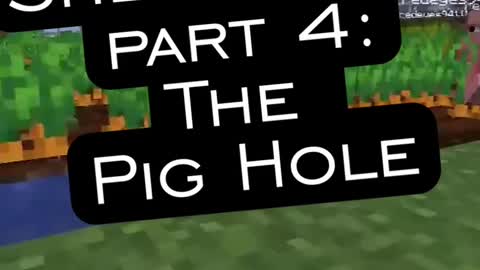 Extra Shenanigans: The Pig Hole