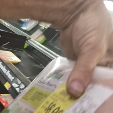 MAGNETIC CHICKEN FOUND AT WALMART