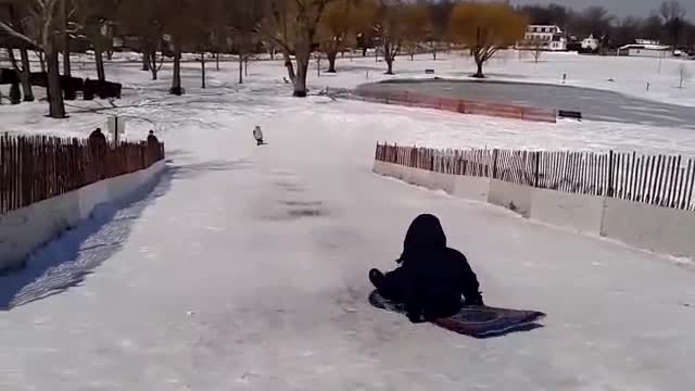 Kids Sledding!