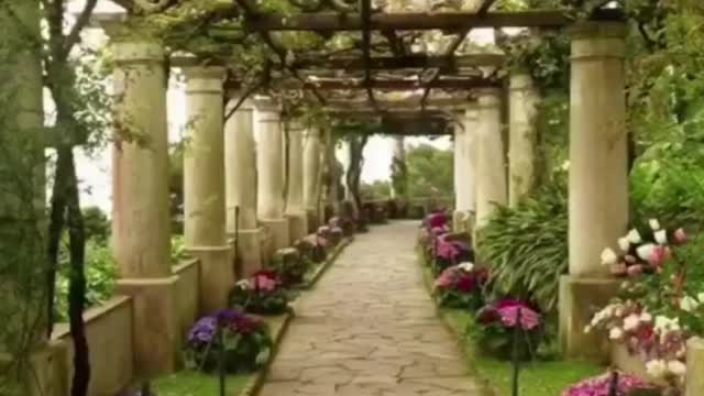 What would you prefer?😍