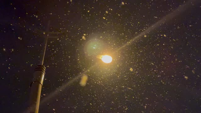 We all have another her in our hearts under the snowy street lights