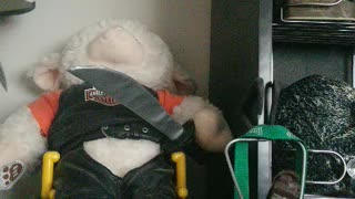 Evp in my room after using the SLS app