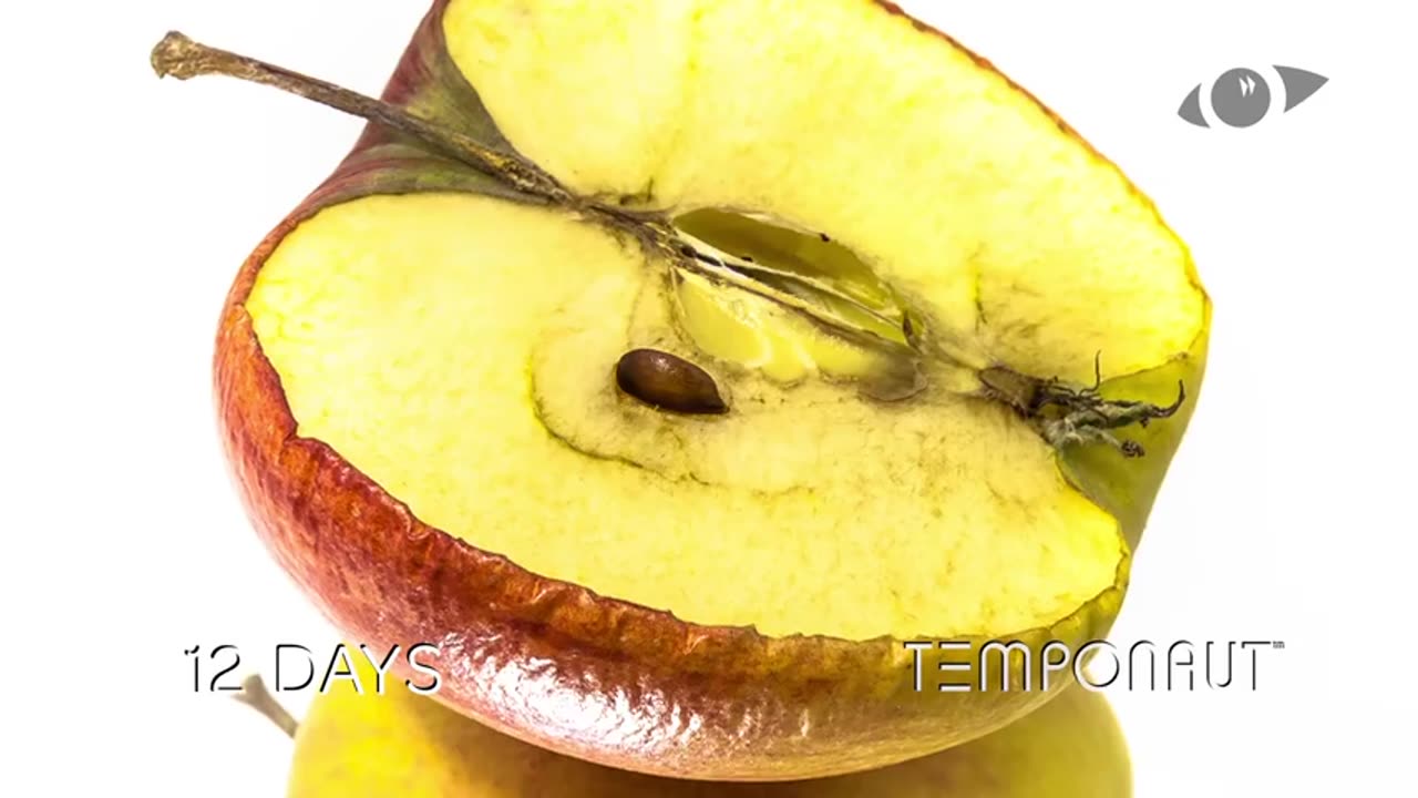 Apple Decomposition Timelapse