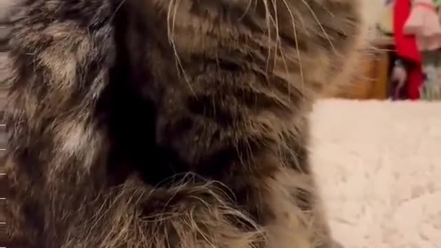When distracted from watching your favorite movie