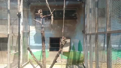 The birds are kept in this cage