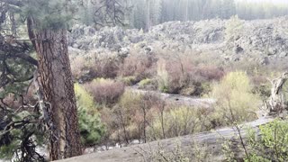 The Upper Section of Deschutes River Trail – Central Oregon – 4K