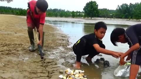 Clams the size of a fist