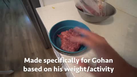 Husky's Raw Breakfast Every Morning