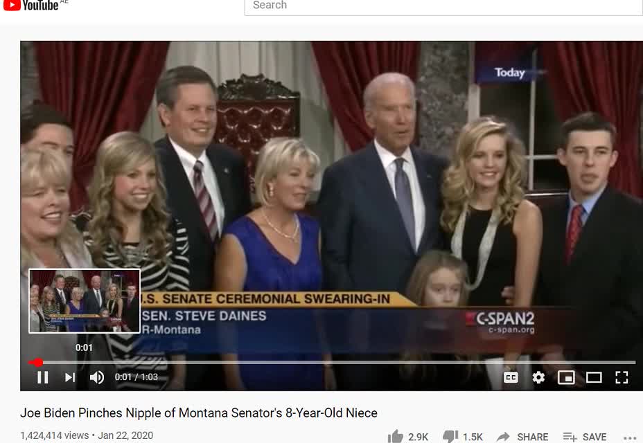 FB & YT Do NOT Want You To See This True Picture of Joe Biden