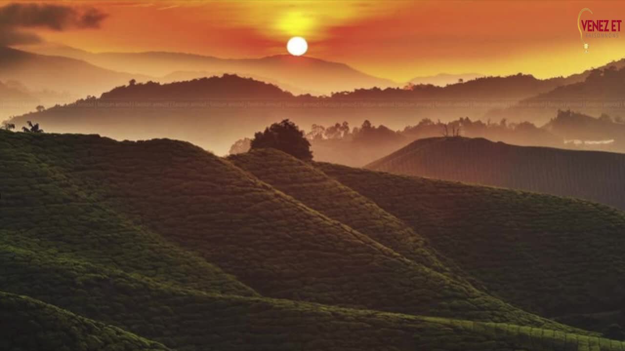 Le pain quotidien L'obeissance