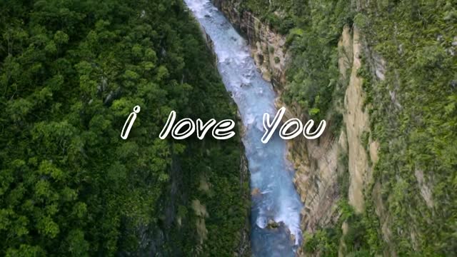 Konstantin Kaysharov - You forgave me