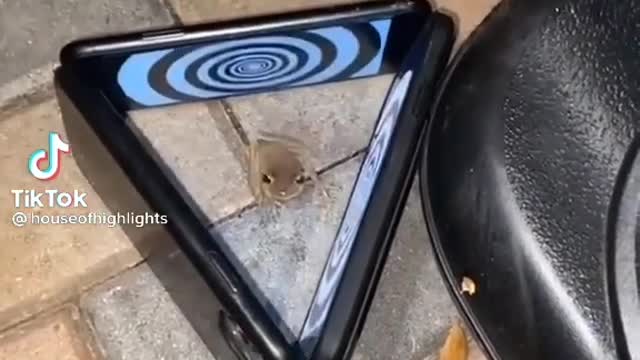 funny vid😂😂