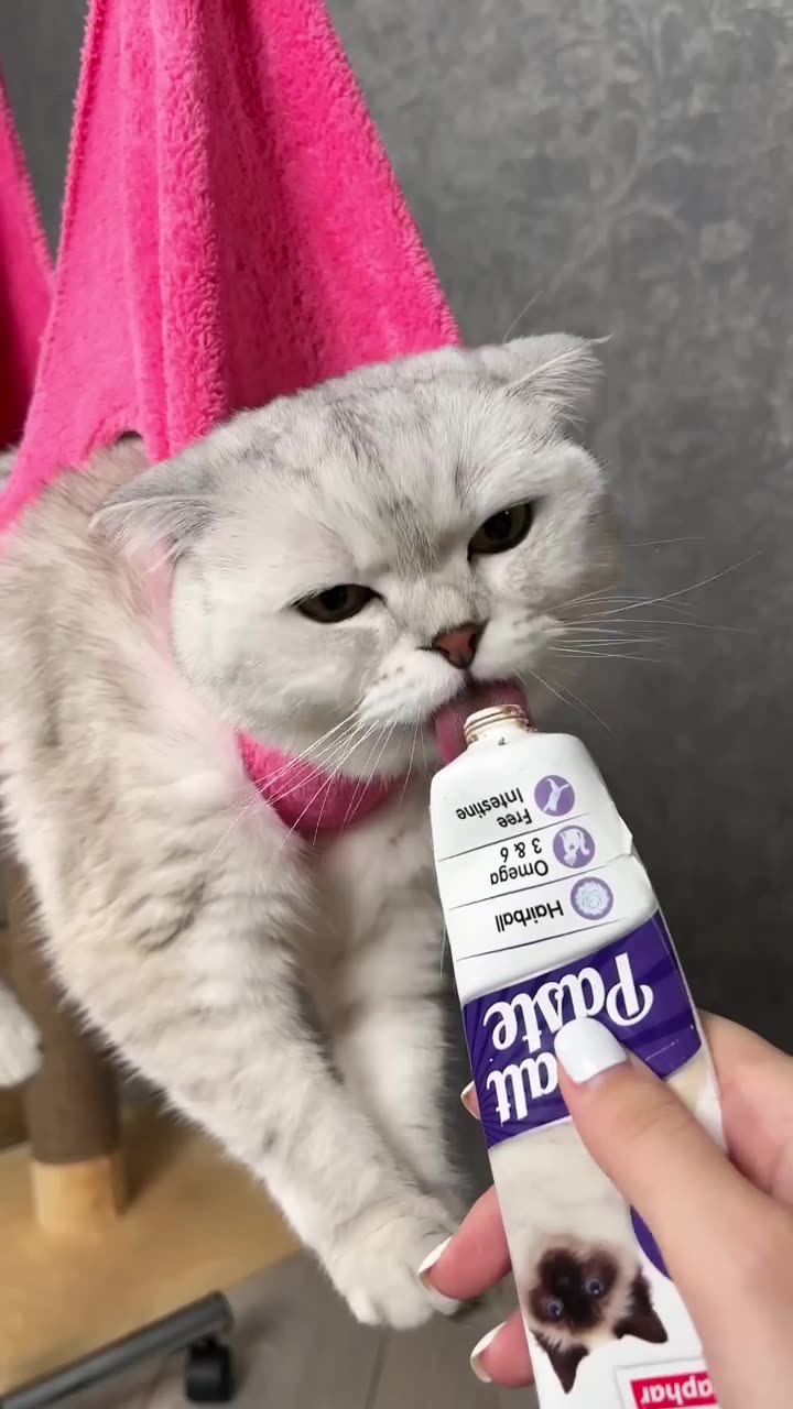 How to trim your cat's claw in easy way!!!