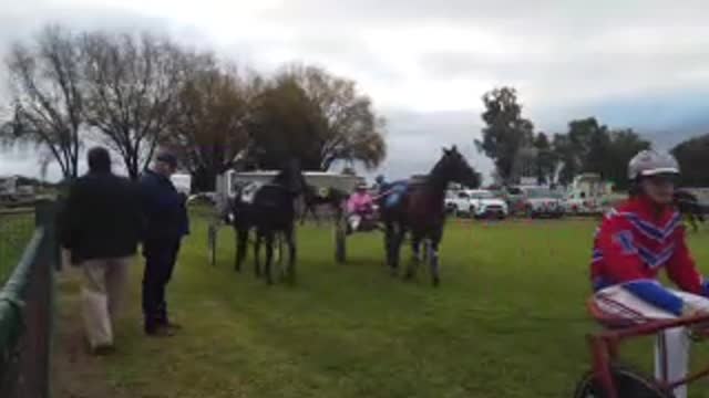 Cowra Harness Racing_Sunday, June 12, 2022_Cowra Guardian