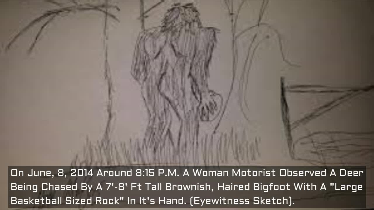 Motorist Observes A Bigfoot Chasing A Deer With A "Large Basketball Sized Rock"