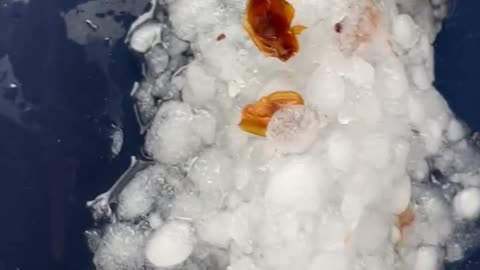 Strange hail Storm in New-England