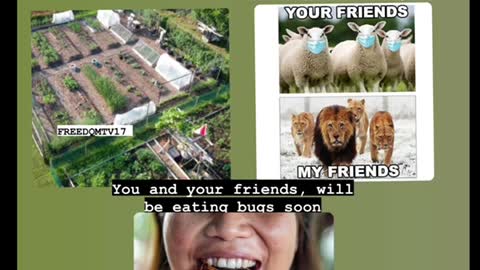 Gardens over bugs