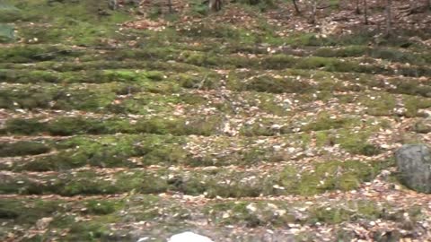 Natural Amphitheater