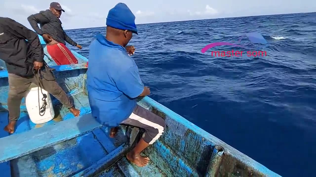 Yellowfin Tuna Fishing with Handline