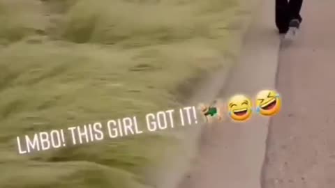Funny REACTION #34 - Dog is very happy when he going for hangout along with Owner