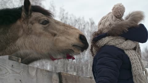 maye 🐎 horse