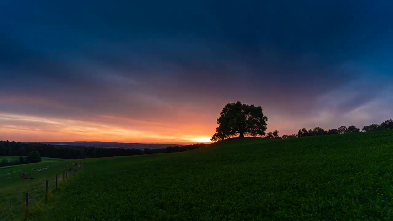 Relaxing Nature Sounds with Birds and Water // Relaxation Music for Stress Relief // Meditation