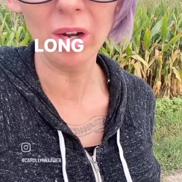 When a Northerner moves to the south