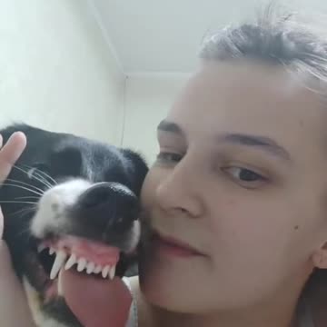 Kiss with a dog gone wrong